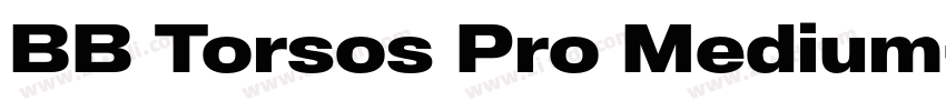 BB Torsos Pro Medium字体转换
